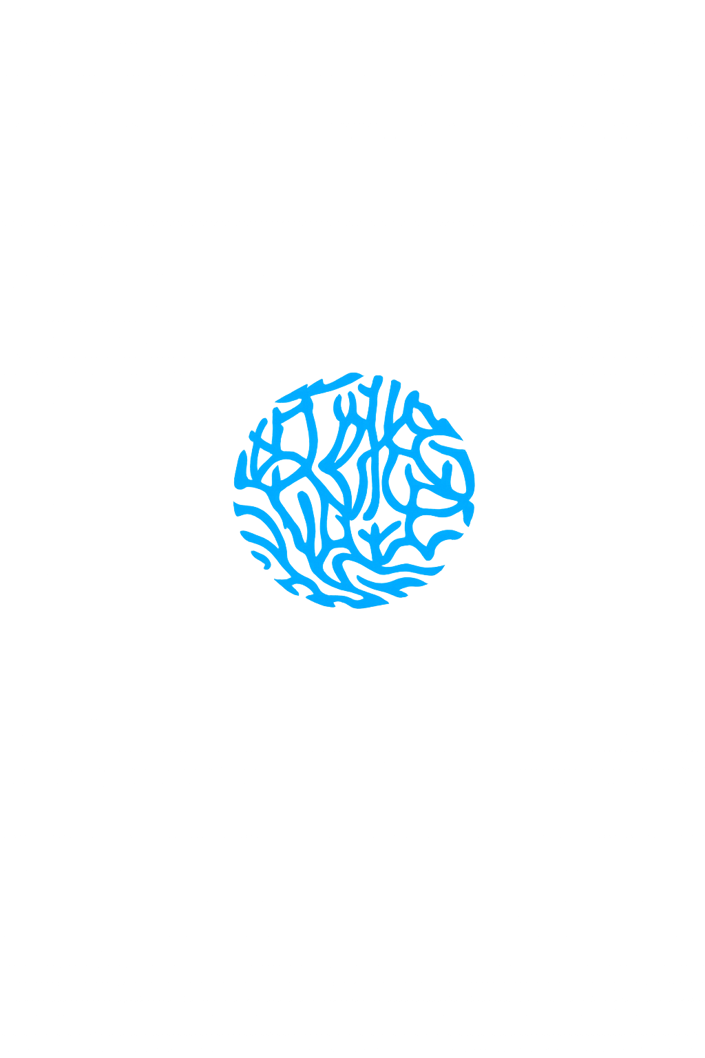 The Reef
